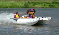 Dylan the Dog, the wave's mascot on a zapcat